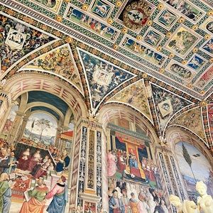 Meet your Posher, Bella